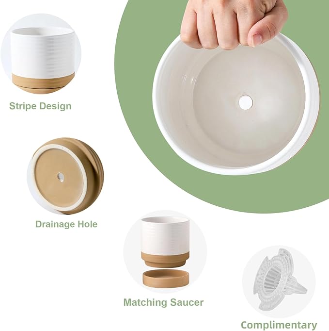 Hasense Ceramic Plant Pots, 6 Inch Planters for Indoor Plants with Drainage Holes and Saucers, White Flower Pots for Succulent, Snake Plants, Cactus, Modern Decor Gift for Mom, 1 Pcs