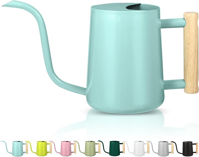 Watering Can Indoor Plants, 35oz Small Indoor Stainless Steel Metal Watering Can Modern Decorative Watering Pot with Long Spout for Indoor House Plant Bonsai Outdoor Garden Flowers -Green