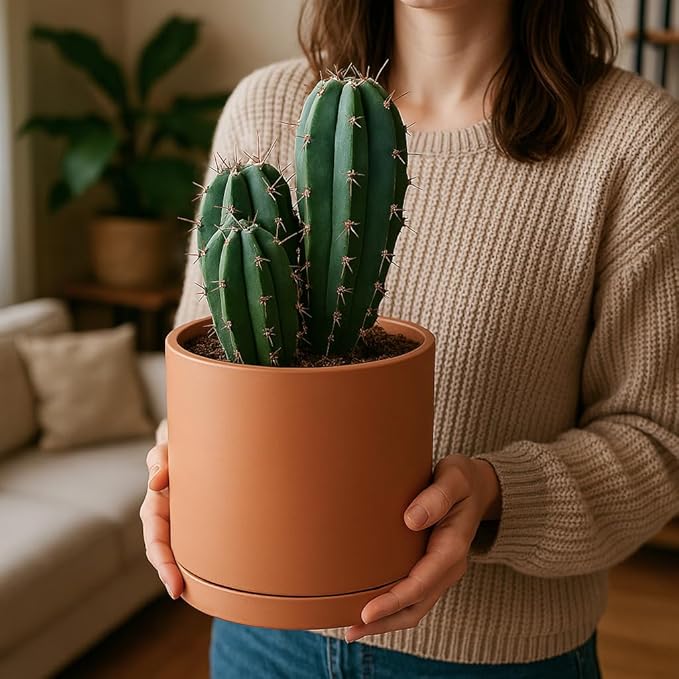 D'vine Dev Medium 8 Inch Terracotta Plant Pot with Drainage Hole and Saucer, Round Cylinder Planter Pot for Indoor Plants, 40-X-A-4