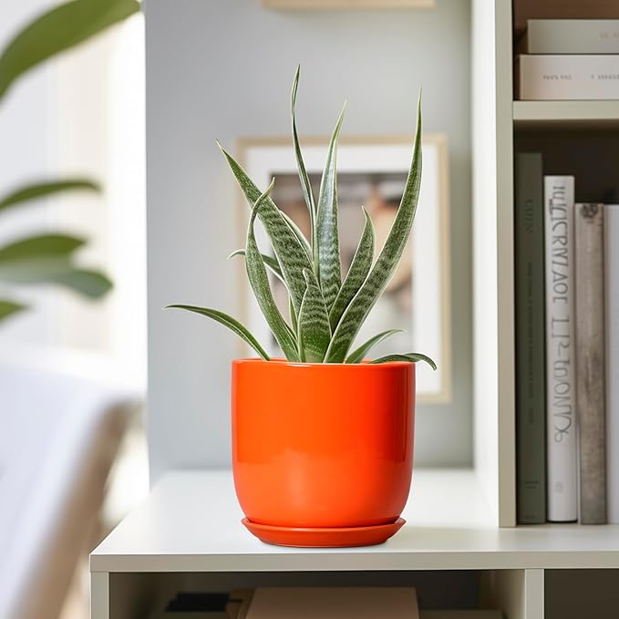 5 Inch Plant Pot - Ceramic Planter for Succulent Cactus Herbs Indoor Plants, Modern Round Flower Pot with Drainage Hole and Saucer, Gifts for Plant Lovers, Patio Office Home Decor, Orange