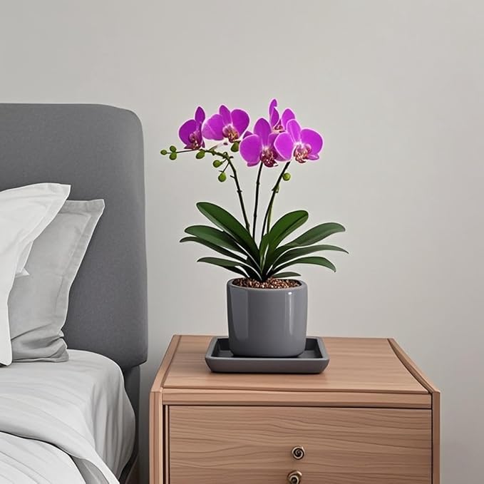 Square Plant Saucer 6 Inch 2 Pack，Plant Trays for Pots, Gray Ceramic Plant Saucers for Indoors Outdoors, Plant Drip Tray 4 6 8 10 12 14 Inch