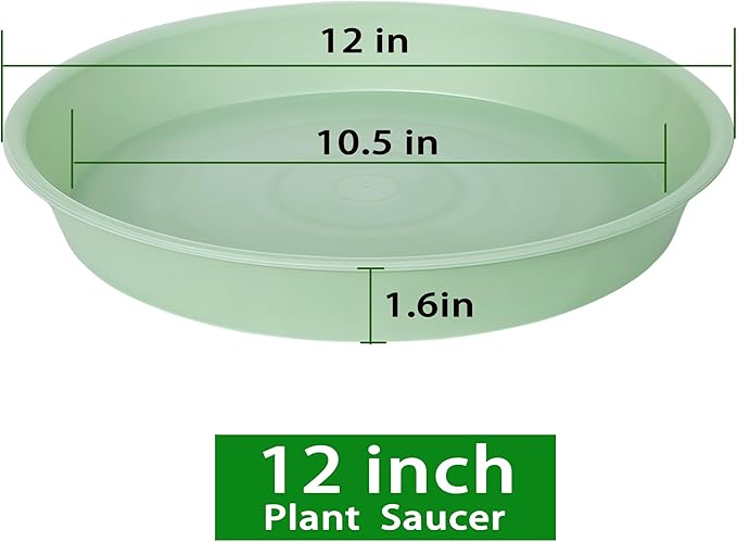 6 Pack of 12 inch Plant Saucer, Heavy Duty Plastic Plant Saucer 12" Round, Durable Plant Tray for Pots, Plant Saucers for Indoors, Plant Trays for Planter (12", Light Green)