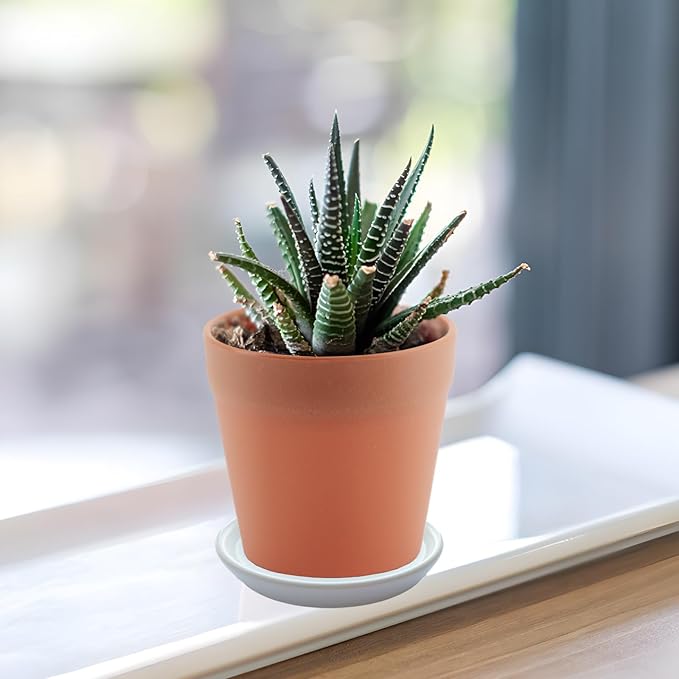 2 Pack Ceramic Plant Saucer 4 Inch, Heavy Duty Plant Pot Tray for Indoor & Outdoor, Glazed Ceramic Plant Drip Trays