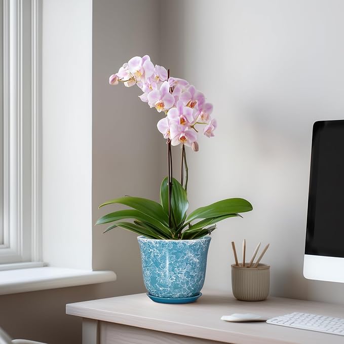 Ceramic Pots for Plants - 5.6 Inch Plant Pot with Drainage Hole and Saucer, Round Succulent Flower Orchid Pot for Indoor Outdoor, Modern Planter, Home Room Decor, Gift for Plant Lover, Blue