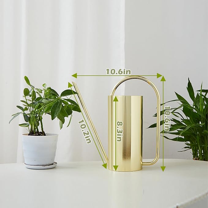 Watering Can for Indoor Plants, 50 oz/1.5L Stainless Steel Watering Can Pot with Long Spout, Garden Watering Cans with Comfortable Handle for Indoor House Plants Bonsai Flower Decorative