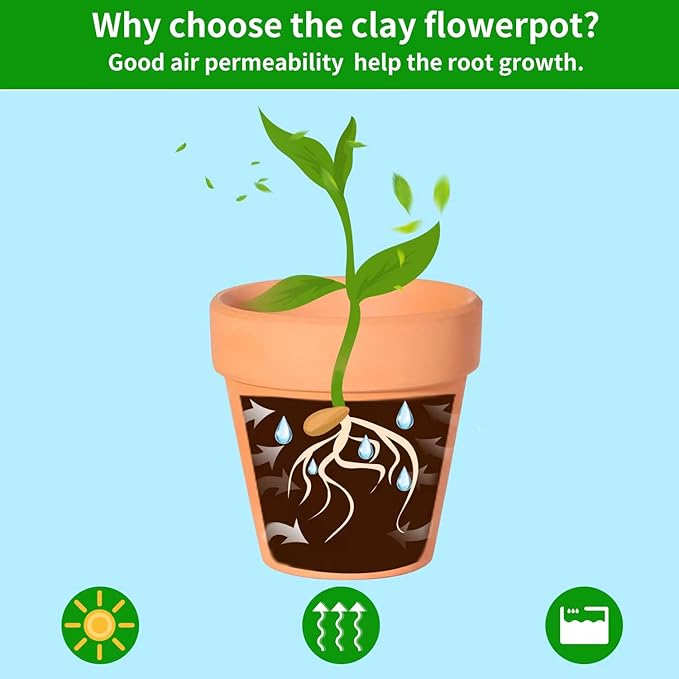 22Pcs 3 Inch Terracotta Pots, Clay Flower Pots Cactus DIY Flower Pots with Drainage Hole,Great for Plants Garden Windowsill Indoor & Outdoor Wedding Favors Gifts