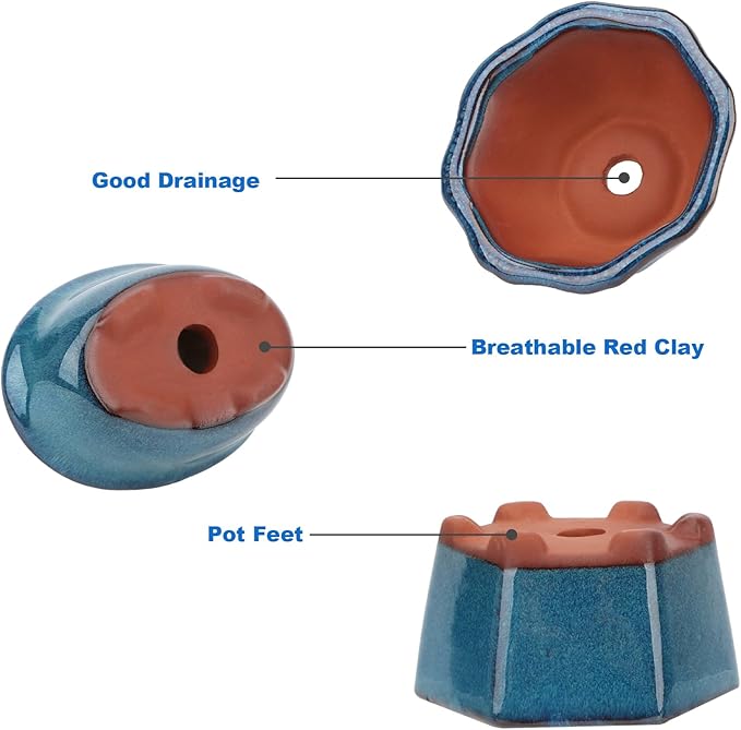 Bonsai Planter 6 pc Mini Glazed Succulent Pots Value Set + 6 Soft Mesh Drainage Screens