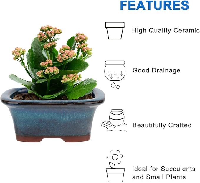 Bonsai Planter 6 pc Mini Glazed Succulent Pots Value Set + 6 Soft Mesh Drainage Screens