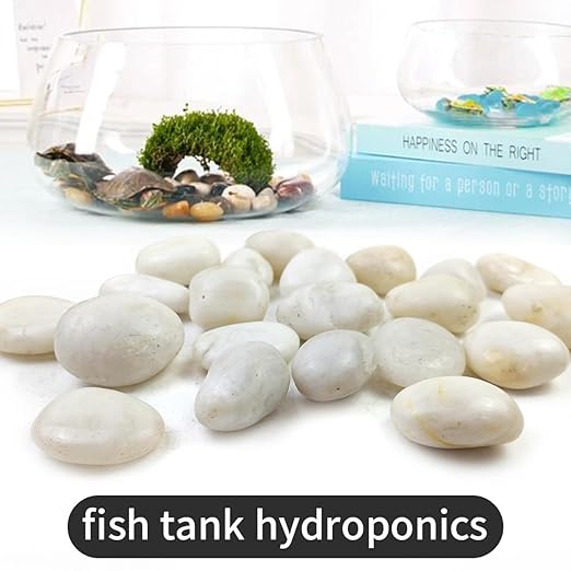 5LB White River Rocks - 2-3 inch High Polished Decorative Pebbles, Stones for Landscaping, Natural River Rocks for Outdoor Décor, Plants,Vase Filler,Fish Tank