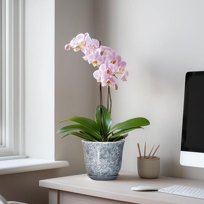 Ceramic Planter - 6 Inch Plant Pot for Indoor Outdoor, Small Plant Pots with Drainage Hole and Saucer, Modern Round Planter, Succulent Orchid Pot, Home Room Decor, Birthday Gifts, Grey