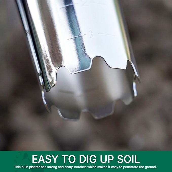 Berry&Bird Garden Bulb Planter with 4 Inches Depth Mark, Stainless Steel Gardening Bulb Transplanter Tool with Short Handle for Planting Flowers Tulips, Daffodils, Lily, Dahlias