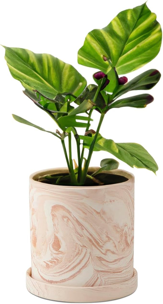 4 inch Plant Pot - Terra Cotta Flower Planters Indoor - Modern Succulents Containers with Drain Hole & Saucer, Decorate Home, Office (Pink)