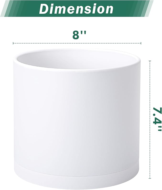 D'vine Dev 2 Pack 8 Inch Modern Plastic Plant Pots, Small Garden Planters for Plant with Drainage Holes and Saucers, White Color, 74-Z-M-1