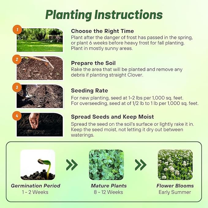 Outsidepride Perennial White Dutch Clover Seed - 1 lbs. Nitrocoated, Inoculated Clover Seeds for Lawn Alternative, Erosion Control, Food Plots, Ground Cover, & Pasture Mixtures in USDA Zones 3-10