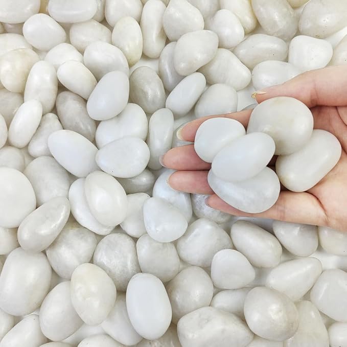 2 lbs Small White Pebbles for Plants, 0.8-1.2 inch Decorative River Rocks for Plants, Aquariums, Landscaping. White Stones for Planter Vase and Outdoor Garden Rocks