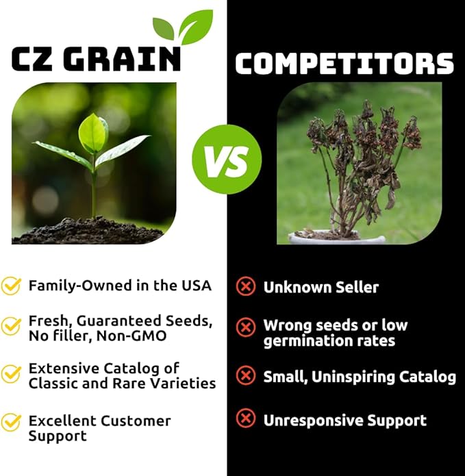 Purple Allium Bulbs for Planting - Easy to Grow Perennial Flowers, Top Size Bulbs, Large Spherical Blooms (10 Bulbs)