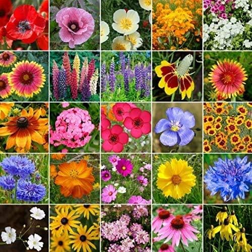 Non GMO Bulk Midwest Wildflower Seed Mix 25 Species of Wildflower Seeds (25 Lbs)