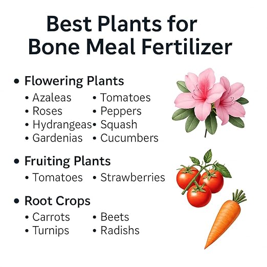 𝐁𝐄𝐒𝐓𝐒𝐄𝐋𝐋𝐄𝐑 Organic Bone Meal Fertilizer by Gardenera (4-12-0 NPK) All-Natural Plant Food Source of Nitrogen and Phosphorus for Bulbs, Gardens, Potted Plants, Trees, and Shrubs - 1 Quart
