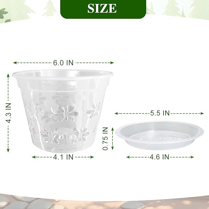 Orchid Pot, 8 Pack 6 inch Orchid Pots with Holes & Saucers, Clear Plastic Pot for Repotting, Breathable Ventilation Planters for Phalaenopsis, Dendrobium & Oncidium Orchids