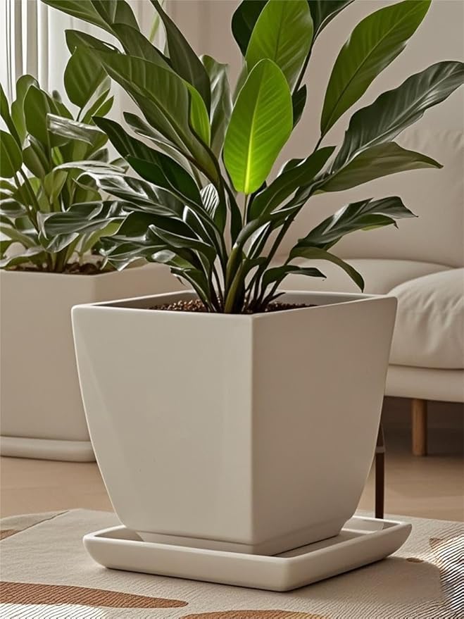 Square Plant Saucer 14 Inch 1 Pack，Plant Trays for Pots, White Ceramic Plant Saucers for Indoors Outdoors, Plant Drip Tray 4 6 8 10 12 14 Inch