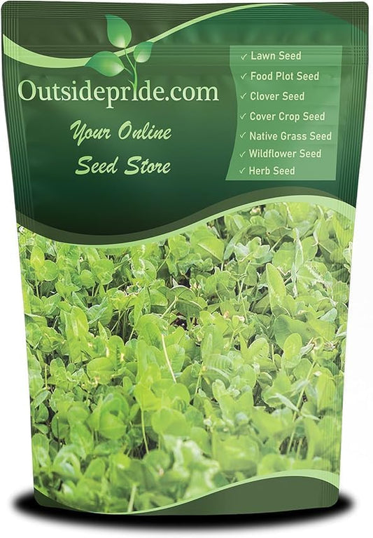 Outsidepride Perennial Clover King Seed Mix - 5 lbs Nitrocoated, Inoculated, Heat & Cold Tolerant, Alfalfa-Enhanced Food Plot Seeds for Deer & Wildlife, Ideal for Spring, Summer, & Winter Food Plots