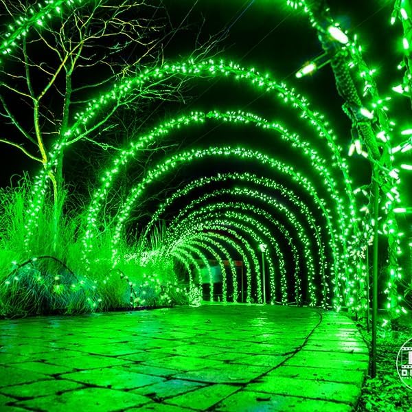kemooie 500 LED Green Christmas Lights, 164 FT 8 Lighting Mode with Memory Plug in Waterproof Fairy Lights, for Outdoor Birthday Christmas Wedding Party Garden Balcony Decorations (Green)