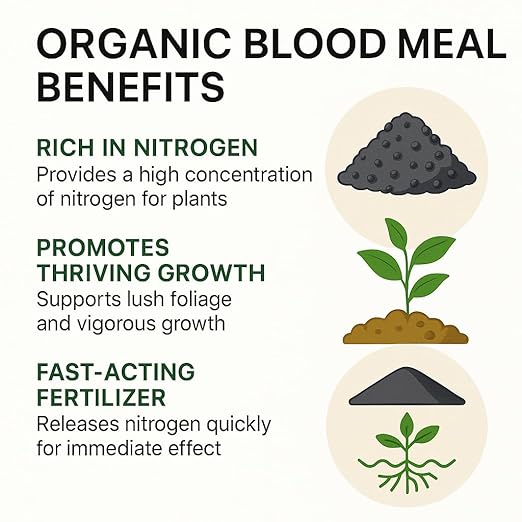 𝐁𝐄𝐒𝐓𝐒𝐄𝐋𝐋𝐄𝐑 Organic Blood Meal Fertilizer by Gardenera - 12-0-0 NPK - All-Natural Plant Food Source of Nitrogen for Organic Gardening, Flowers, Vegetables, Trees & Shrubs - 4 QUARTS