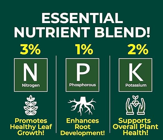 Professional Succulent Spray Fertilizer Mist for Home Gardening | 3-1-2 Gentle Blend Mist for Healthy Leaves & Growth | Essential Nutrients for Succulent and Cacti - 8oz