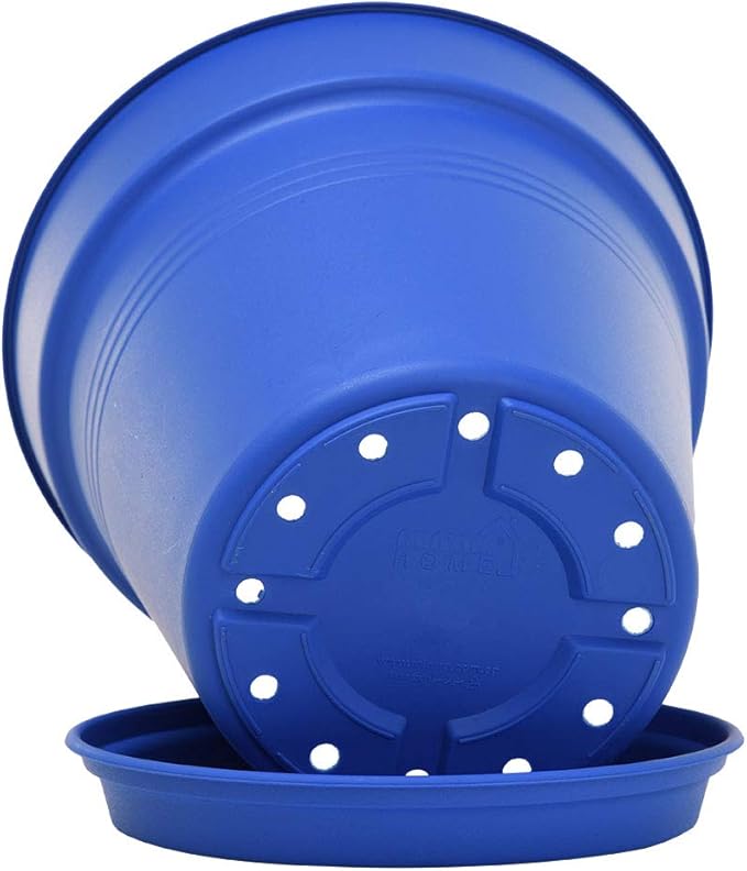 Mintra Home Garden Pots 4pk - Flowers, Herbs, Plants, Indoor, Outdoor, Colorful, Wholesale, Bulk (Blue, 11cm Diameter (4.3in))