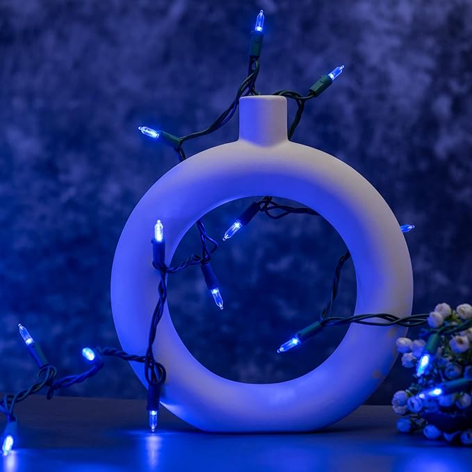 YULETIME 200 Count Blue LED Christmas Lights, 66 Feet Green Wire UL Certified Commercial Grade Holiday String Light Set (Blue)