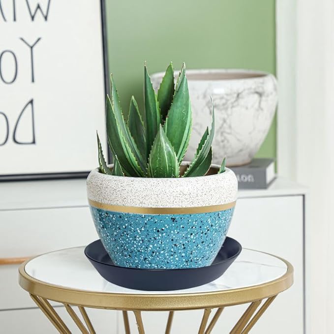 2 Pack 8 Inch Flower Pot Saucers - 9 Inch (8.7 Inch) Ceramic Plant Saucer for Outdoors & Indoors - Glazed Ceramic Plant Pot Trays for Water Drainage - Durable & Stylish Round Plant Tray