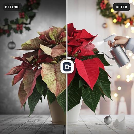 Premium Holiday Plant Food Mist - 3-1-2 Liquid Fertilizer Spray for Poinsettias, Christmas Flowers, and Greenery - 8oz