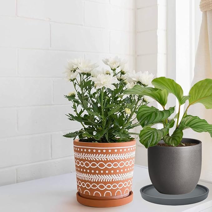 Ceramic Plant Saucer Pot Tray 12 Inch, Planter Saucers 4 5 6 7 8 9 10 11 12 13 Inch for Indoors Outdoor, Durable Sturdy Flower Drainage drip Water Tray for Glazed Pots Base (12.7 Inch-Grey)