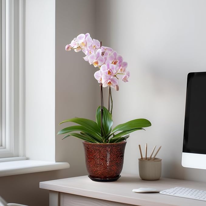 Ceramic Plant Pots - 5.6 Inch Plant Pot Indoor Outdoor, Small Planter with Drainage Hole and Saucer, Round Planter, Orchid Succulent Pots, Garden Room Decor, Gardening Gifts for Women, Red