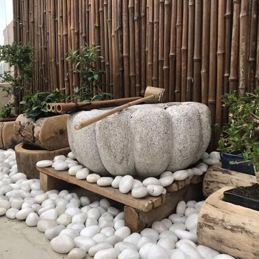 10lbs White River Rocks, 2-3 Inch Natural Pebbles for Indoor Plants, High Polished Decorative Stones Vase Filler Fish Tank Aquariums Landscaping Garden Outdoor and Indoor DIY