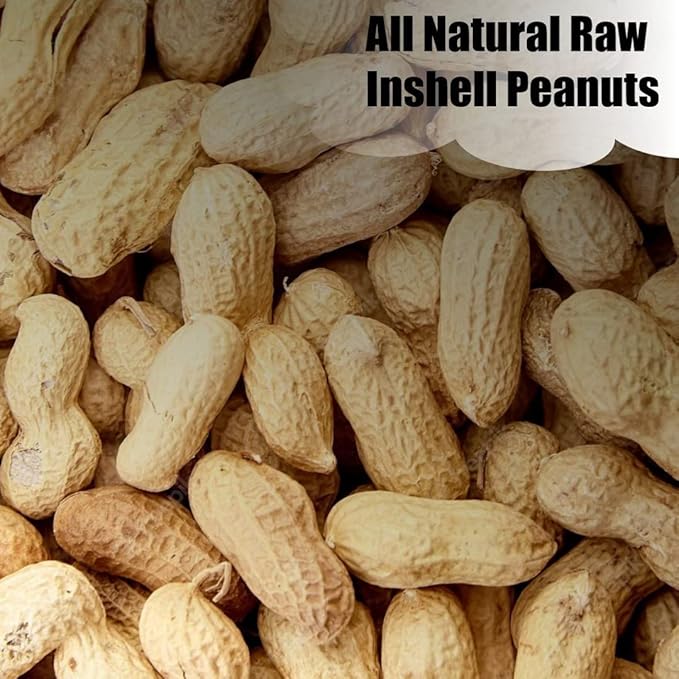 Old Potters Wildlife in-Shell Peanuts, 25 lbs for Birds, Squirrels, and Wildlife. USA Grown Non-GMO, Organic Small Farm, Raw in-Shell Peanuts. Wildlife Grade, 25 lbs.