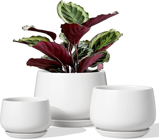 LE TAUCI Ceramic Plant Pots, 4.1+5.1+6.5 inch, Set of 3, Planters with Drainage Hole and Saucer, Indoor Flower Pot with Hole Mesh Pad, Gifts for Mom, White