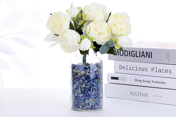 QINJIEJIE 0.9Lbs Lapis Lazuli Rocks for Plants Bulk Succulent Small Stone Natural Decorative Aquarium Gravel Fish Tank Irregular Shaped Pebbles Crystals Chips Vase Filler Decorations for Planter