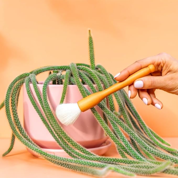 Southside Plant Cactus & Succulent Plants Cleaning Brushes - Wooden Handles w/Soft Goat Hair Bristles - Garden Cleaning Tools, Gentle on Plants, 7" & 3.2" Sizes - Pack of 2
