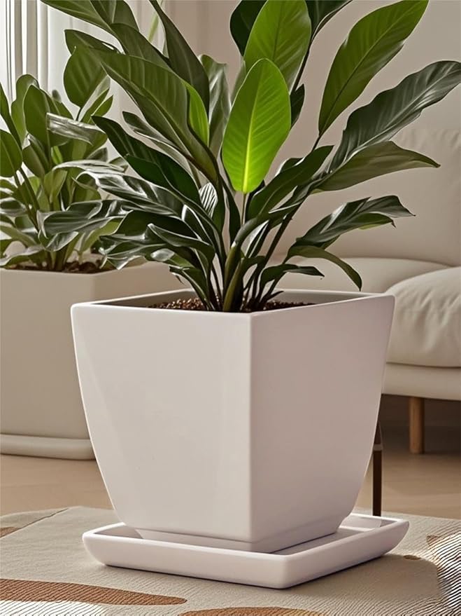 Square Plant Saucer 10 Inch 1 Pack，Plant Trays for Pots, White Ceramic Plant Saucers for Indoors Outdoors, Plant Drip Tray 4 6 8 10 12 14 Inch