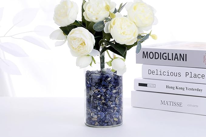 QINJIEJIE 0.9Lbs Blue Sodalite Rocks for Plants Vase Filler Small Gravel Bulk Irregular Shaped Decorative Aquarium Stones Terrarium Pebbles Landscaping Sand Crystal Chips Fish Tank Decorations