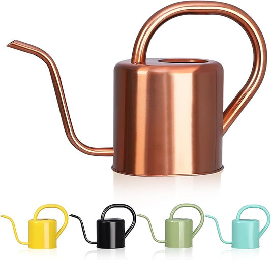 Watering Can, Stainless Steel Watering Can for Indoor & Outdoor Plants, 1L/35oz Long Spout Water Can with Handle, Rust-Proof Plant Watering Pot for House Plants, Garden Flowers
