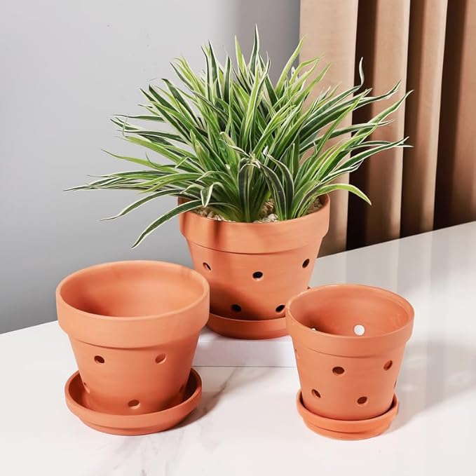 Yishang Terracotta Orchid Pots with Saucer&Holes,Clay Orchid Planter Pots for Repotting,Small Flower Plant Pots for Orchid Indoor or Outdoor Promotes Air Circulation,6 Inch & 7 Inch & 8 Inch,Set of 3