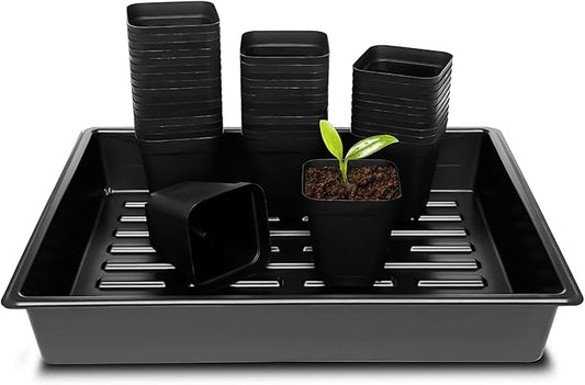 3.15 inch (8CM) Square Nursery Pots 100 pcs, Sturdy Seedlings Trays 5 Pcs, Seeds Starter Germination Tray, Microgreening Planter Nursery Propagation 5 Sets