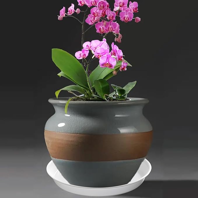 12 Pack Plant Saucer, 6 8 10 inch Plant Saucers Heavy Sturdy Plastic Planter Trays Pot Tray for Indoor Outdoor, Plant Water Drip Trays for Pots, White