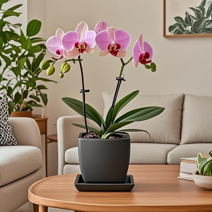 Square Plant Saucer 6 Inch 2 Pack，Plant Trays for Pots, Black Ceramic Plant Saucers for Indoors Outdoors, Plant Drip Tray 4 6 8 10 12 14 Inch