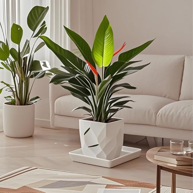 Square Plant Saucer 10 Inch 1 Pack，Plant Trays for Pots, White Ceramic Plant Saucers for Indoors Outdoors, Plant Drip Tray 4 6 8 10 12 14 Inch