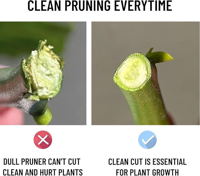 Pruning Shears for Gardening,Garden Shears,Garden Clippers,Gardening Shears,SK5 Steel Hand Pruners,Garden Scissors Heavy Duty Tool with Soft Cushion Grip Handle and Sharpening stone