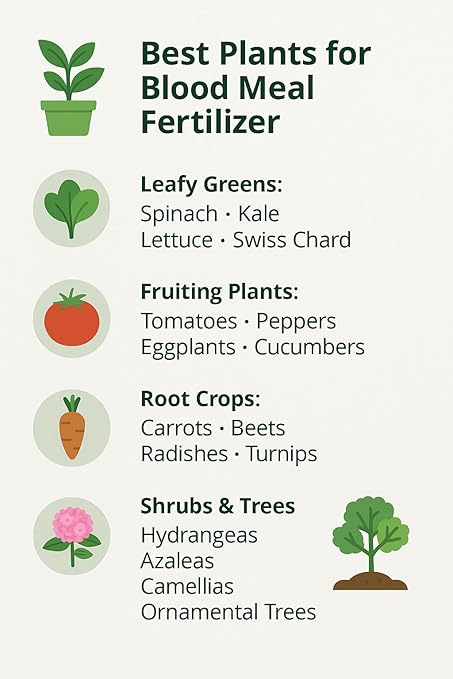 𝐁𝐄𝐒𝐓𝐒𝐄𝐋𝐋𝐄𝐑 Organic Blood Meal Fertilizer by Gardenera - 12-0-0 NPK - All-Natural Plant Food Source of Nitrogen for Organic Gardening, Flowers, Vegetables, Trees & Shrubs [16 OZ]