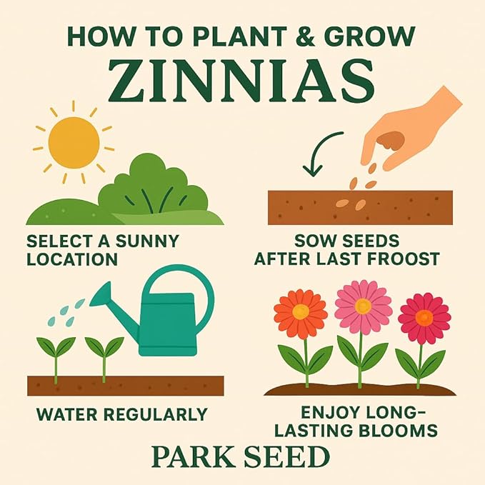 Park Seed Zinnia Flower Planting Seeds, Easy to Grow, Perfect for Spring Garden, Zahara Starlight Rose, Pack of 25